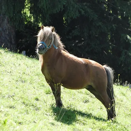 Bauernhof-ferienhaus Klocker Hart im Zillertal